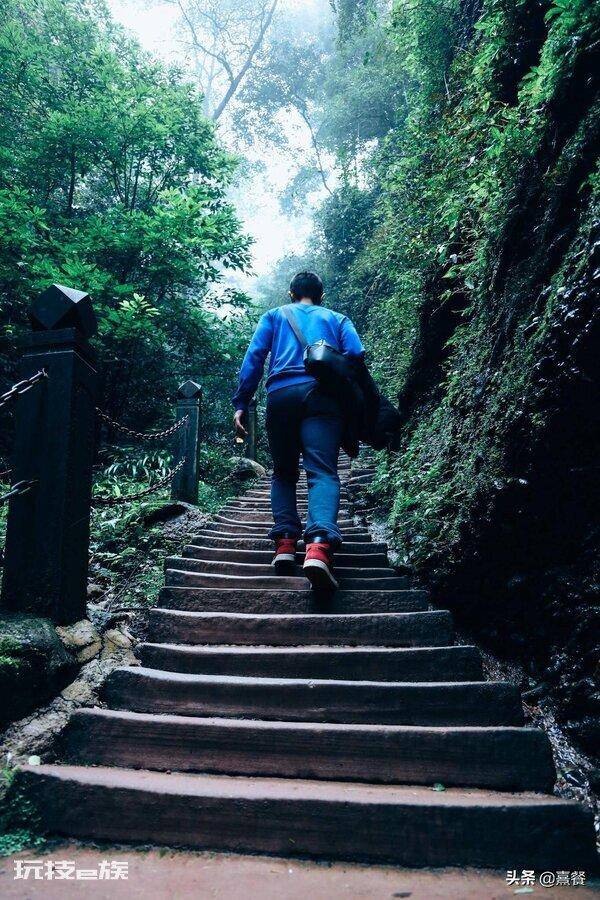 青城山海拔多少米高(成都都江堰青城山景区的游玩攻略)-图片9